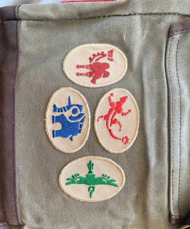 Small oval club and patrol badges embroidered on canvas